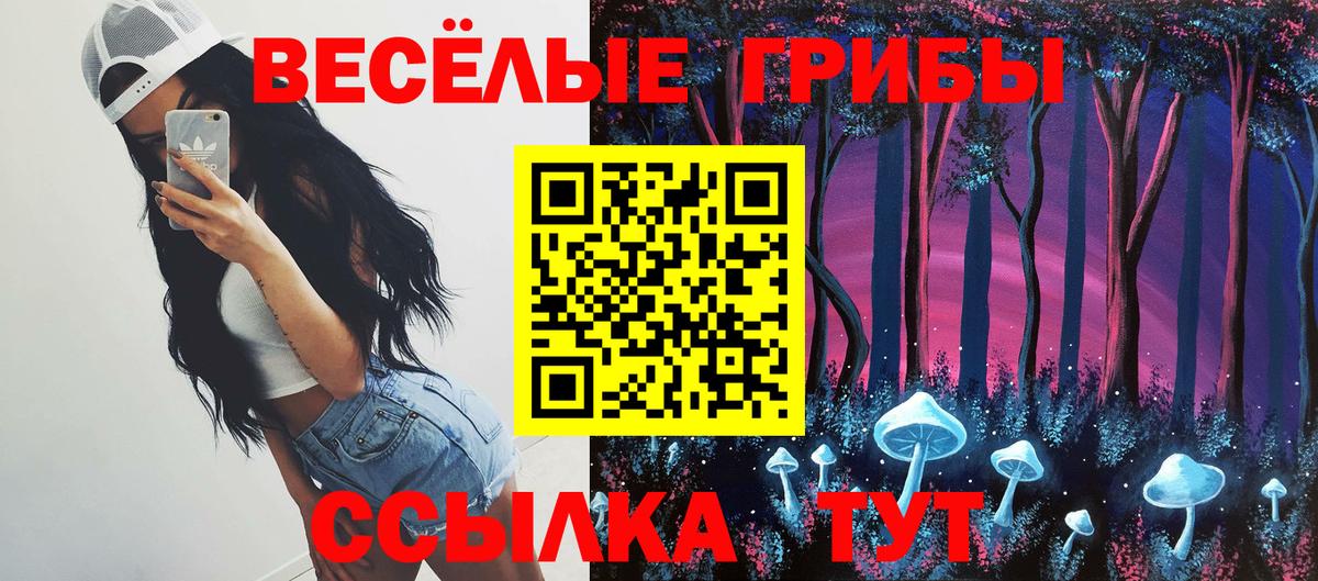 Галлюциногенные грибы GOLDEN TEACHER  дарнет шоп  Гусиноозёрск  Вход с VPN 